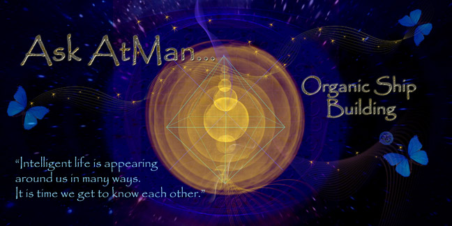 Ask-AtMan-OrganicShip-Building