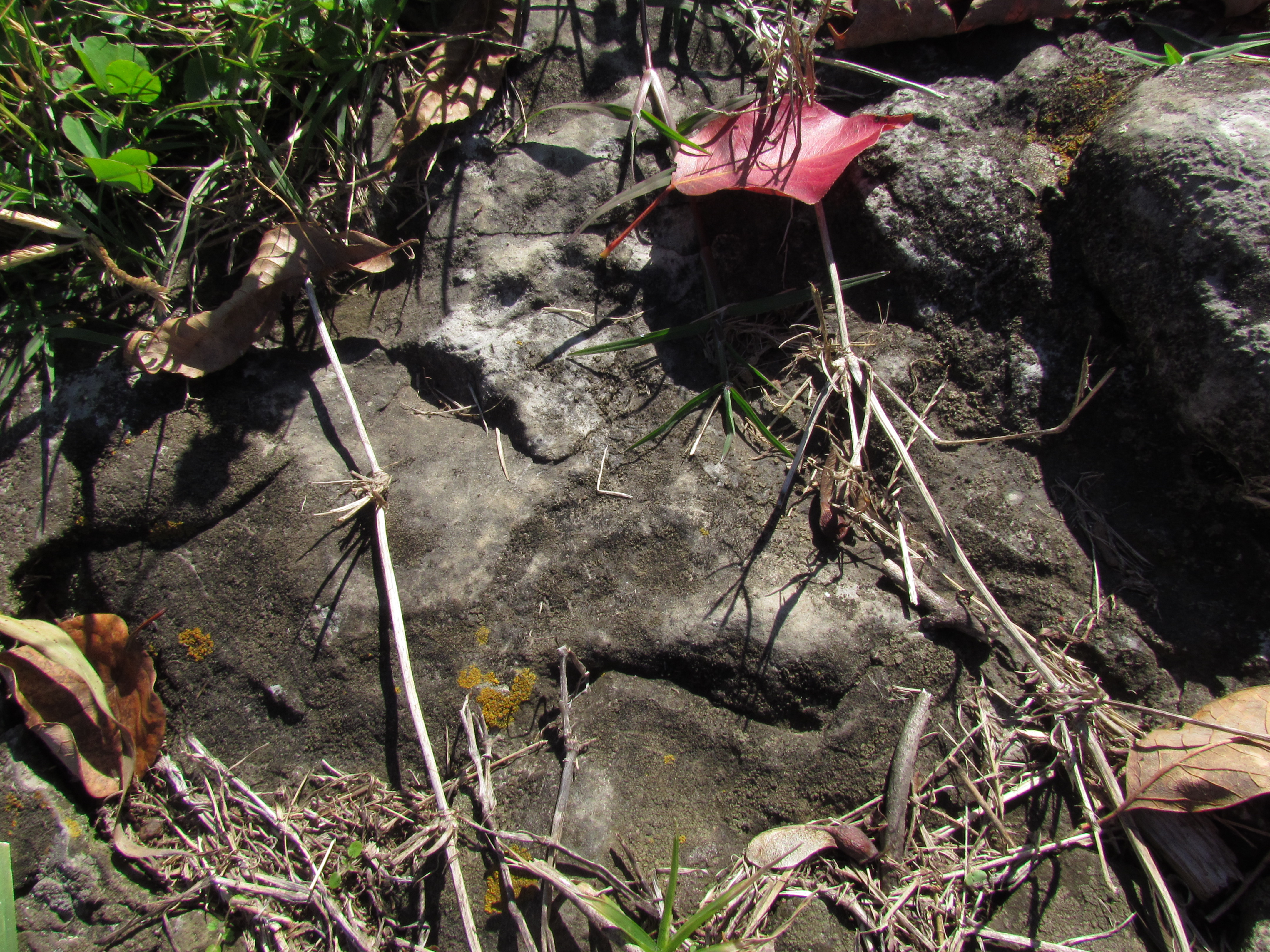 Stone Being with Red Leaf