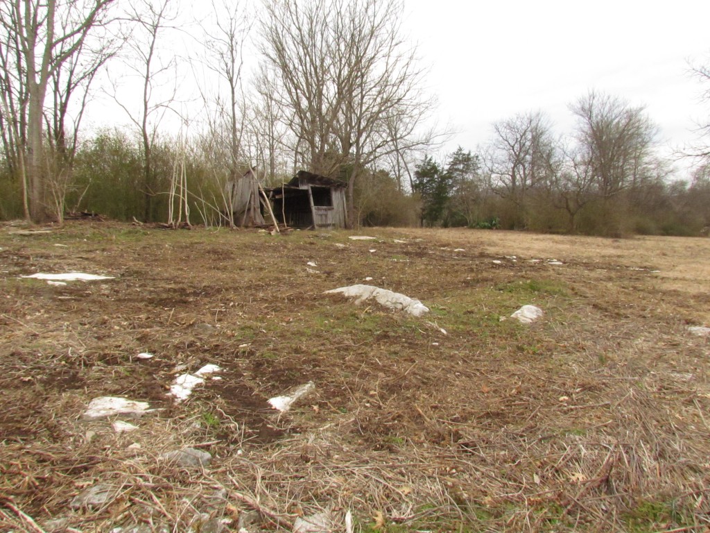 Hugh Clearing the Pollinator Habitat. Penquin Grove. Old Barn. Photo-Stories through the creative Eyes of Saleena's Heart & Soul. For More: http://saleenaki.com