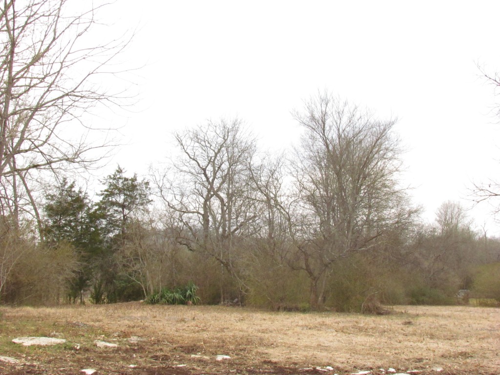 Pollinator Habitat-Penguin Grove