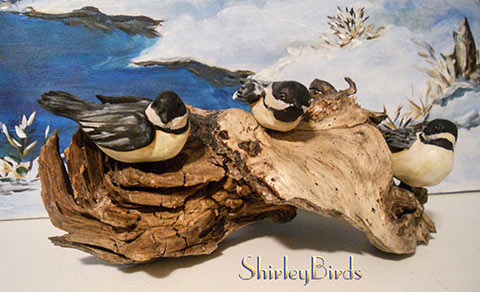 2010-Black Capped Chickadees by ShirleyBirds