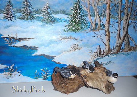 2010-Black Capped Chickadees by ShirleyBirds