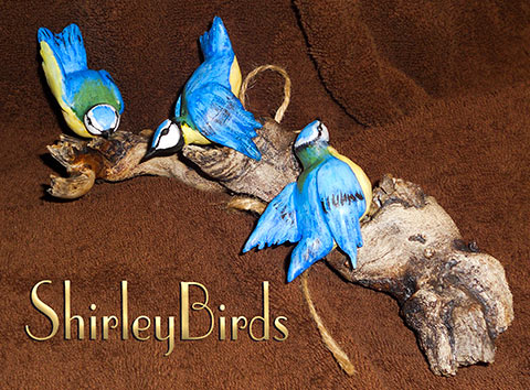 2010 English-Blue Tits ShirleyBirds