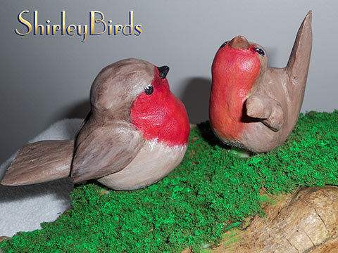 2013-English Robins-Detail by ShirleyBird-3