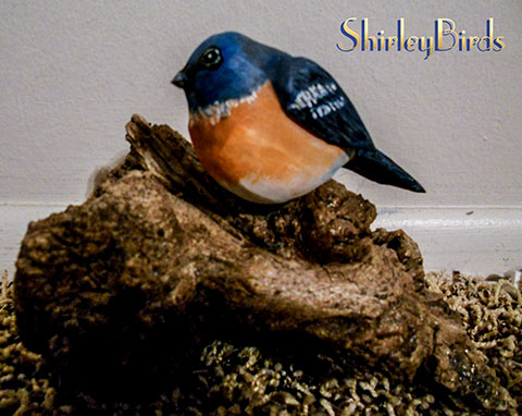 2015 Lazuli Bunting by ShirleyBirds