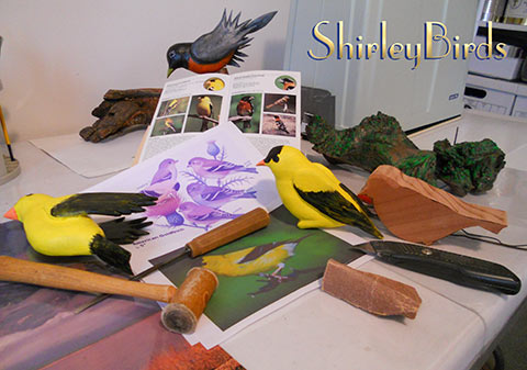 2015-11-24 American Goldfinchs in Process-2 by ShirleyBirds-1