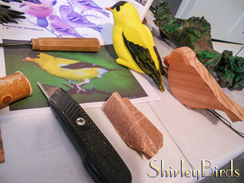 2015-11-24 American Goldfinchs in Process-1 by ShirleyBirds-2