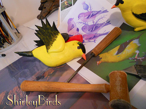 2015-11-24 American Goldfinchs in Process-3 by ShirleyBirds-3