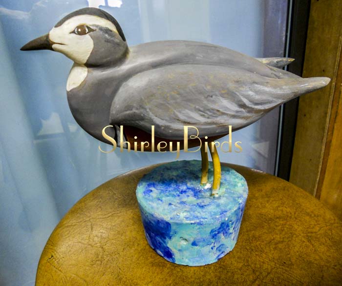 2000 ShoreBird cocreated by Dad and Mon who makes ShirleyBirds