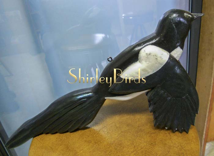 2010 Magpie by ShirleyBirds