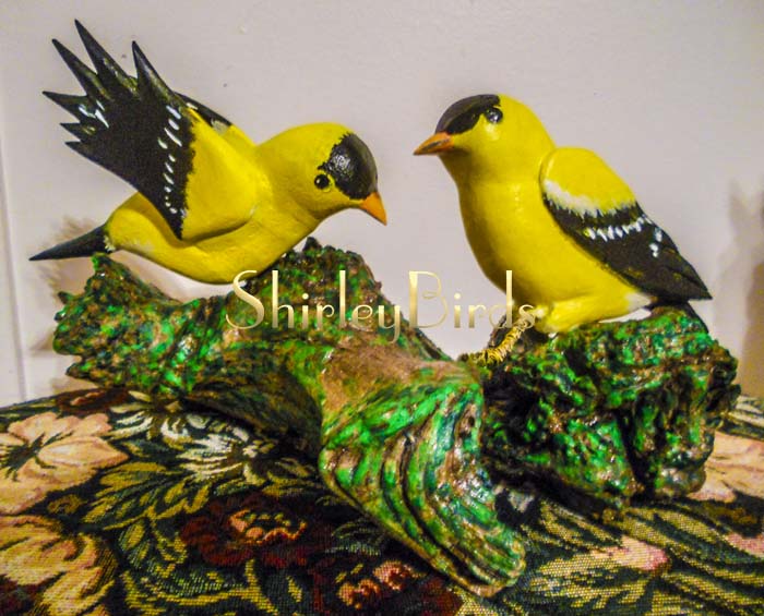 2015-12-01 American Goldfinch-Finished-by-ShirleyBirds2