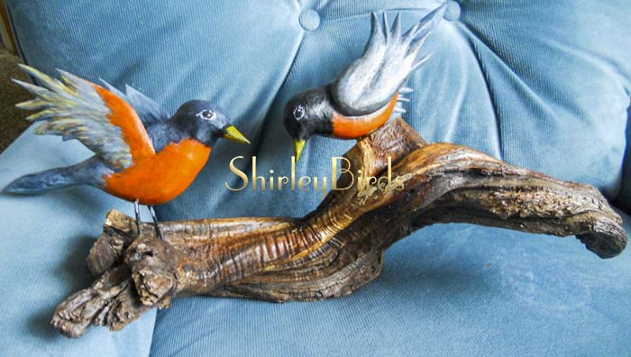 2015-12-10 American Robins with New Wood by ShirleyBirds2