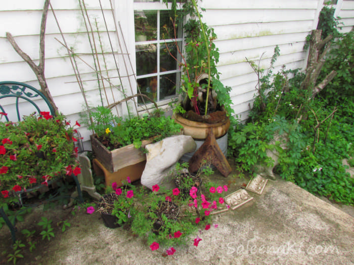 Kitchen Window Waterfall