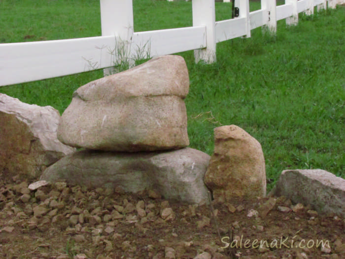 2-GardenSong Stone Beings in Lion's Gate Garden