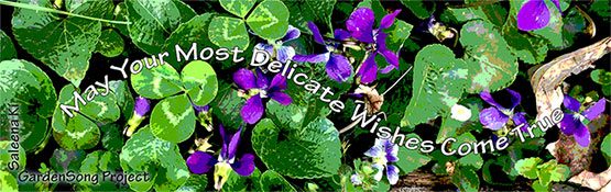 Wild Violets Wish-Bookmark