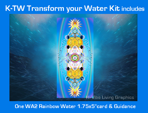 K-TW Transform Your Water Kit by Saleena Kí